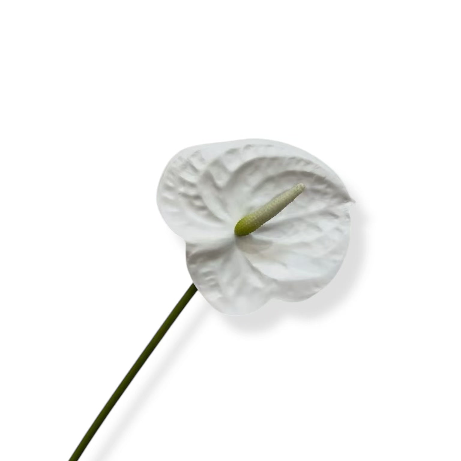 Anthurium White-03 | Zijden kunstbloem | Lengte 55cm 1pcs
