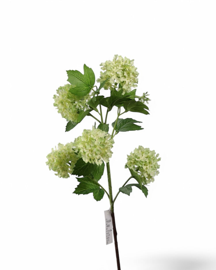 Six headed green hydrangea-02 | Zijden kunstbloem | Lengte 75cm 1pcs)