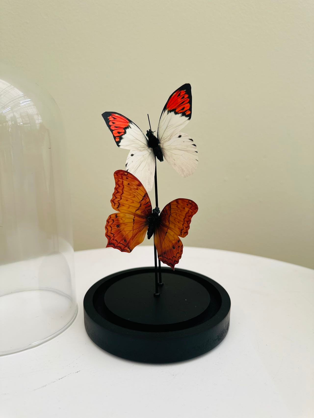 twee vlinder 11 * 21cm (YF-08)