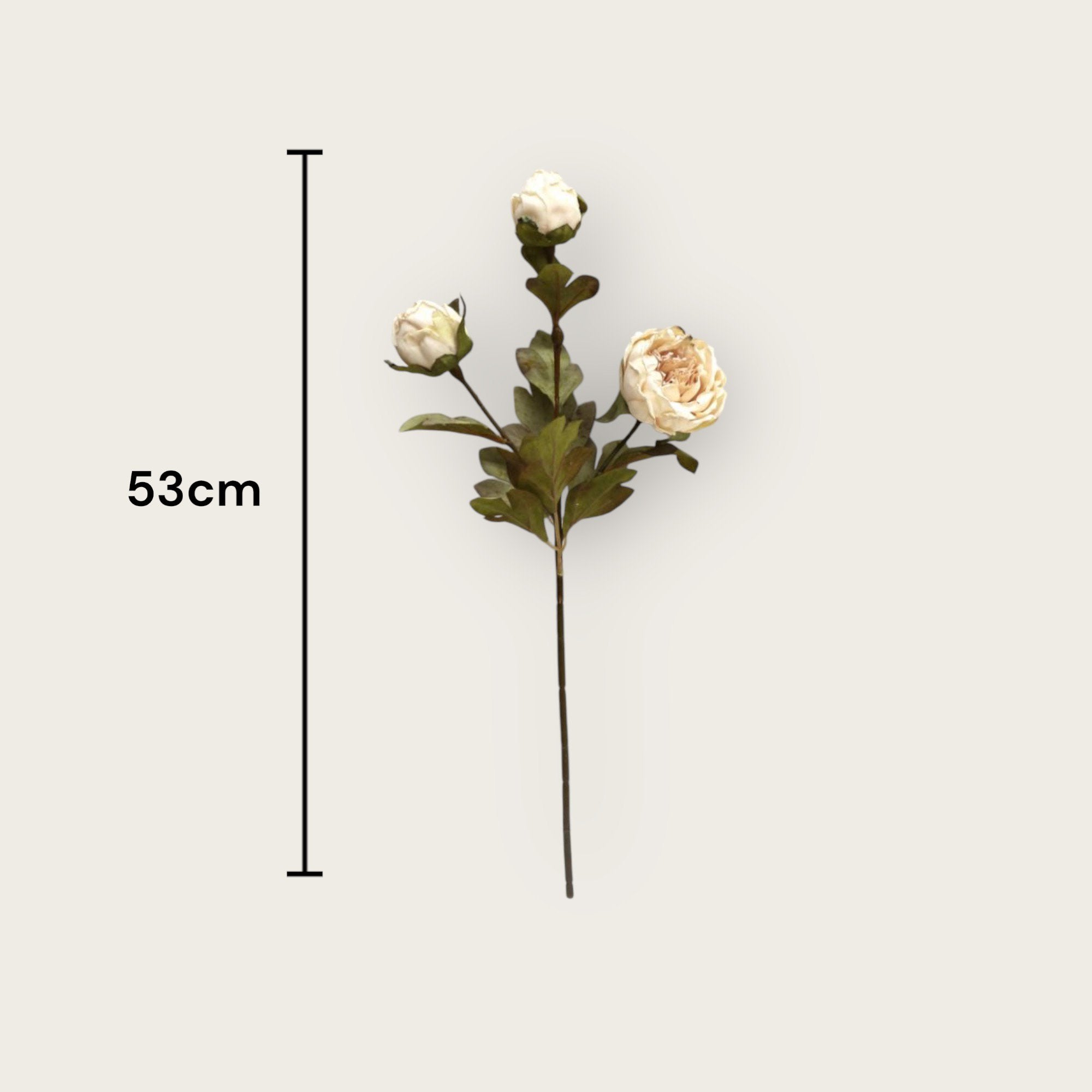 Herfstserie 3 Heads Peony Cream | Zijden kunstbloem | Lengte 53cm 1pcs