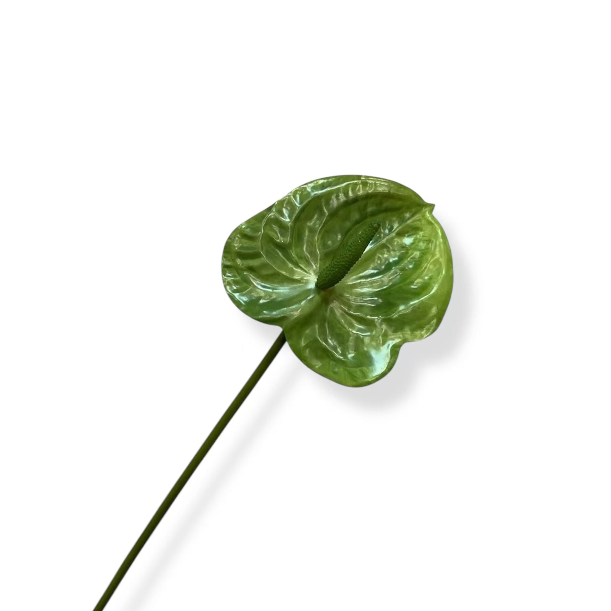 Anthurium Deep Green-04 | Zijden kunstbloem | Lengte 55cm 1pcs