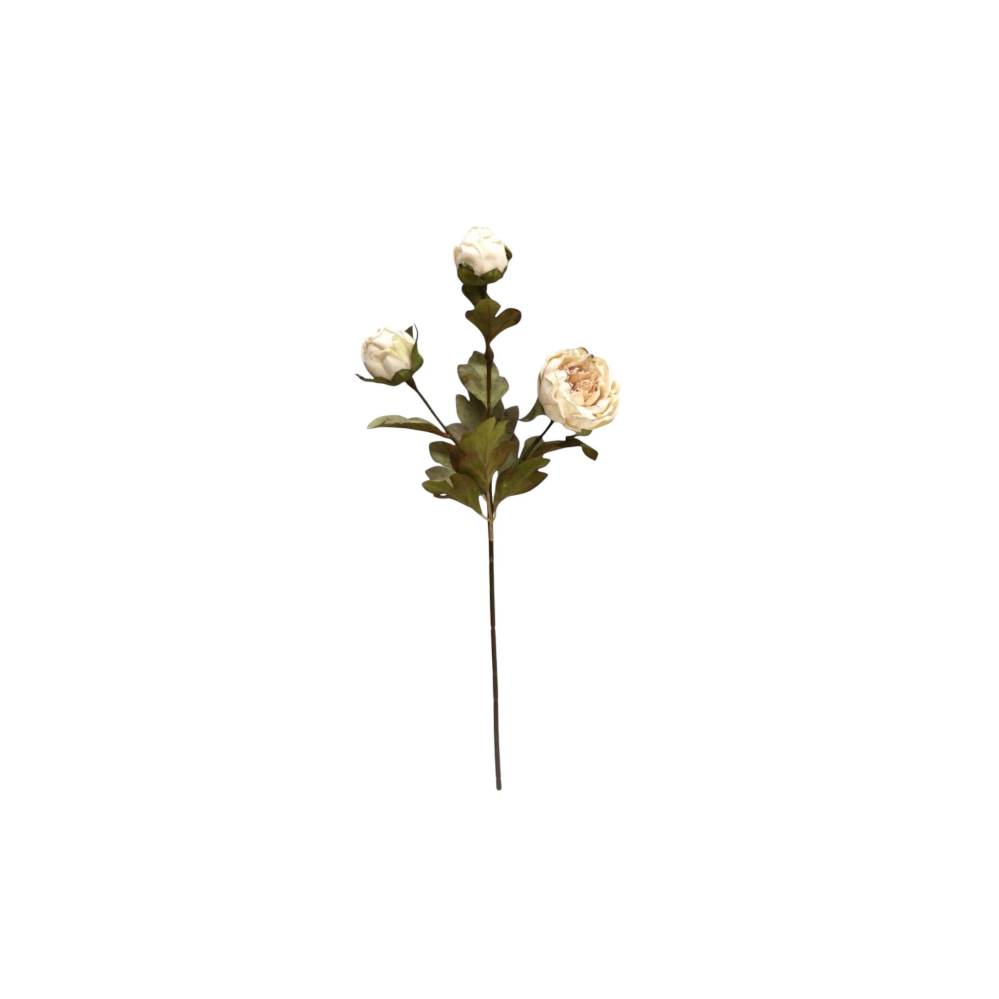 Herfstserie 3 Heads Peony Cream | Zijden kunstbloem | Lengte 53cm 1pcs