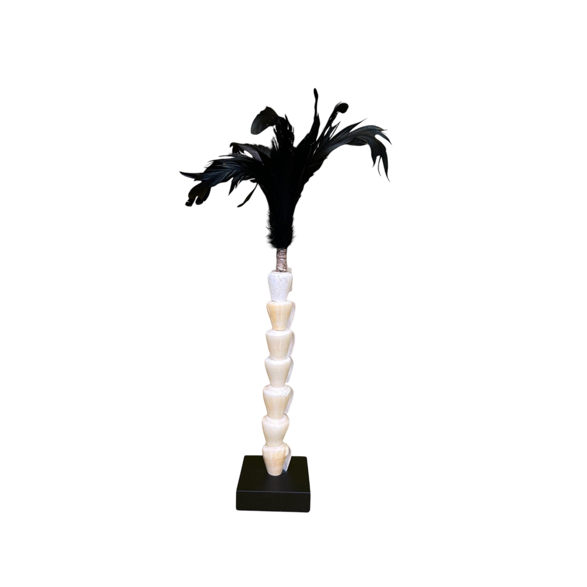 Papua white shell with veren on stand(7 shell)
