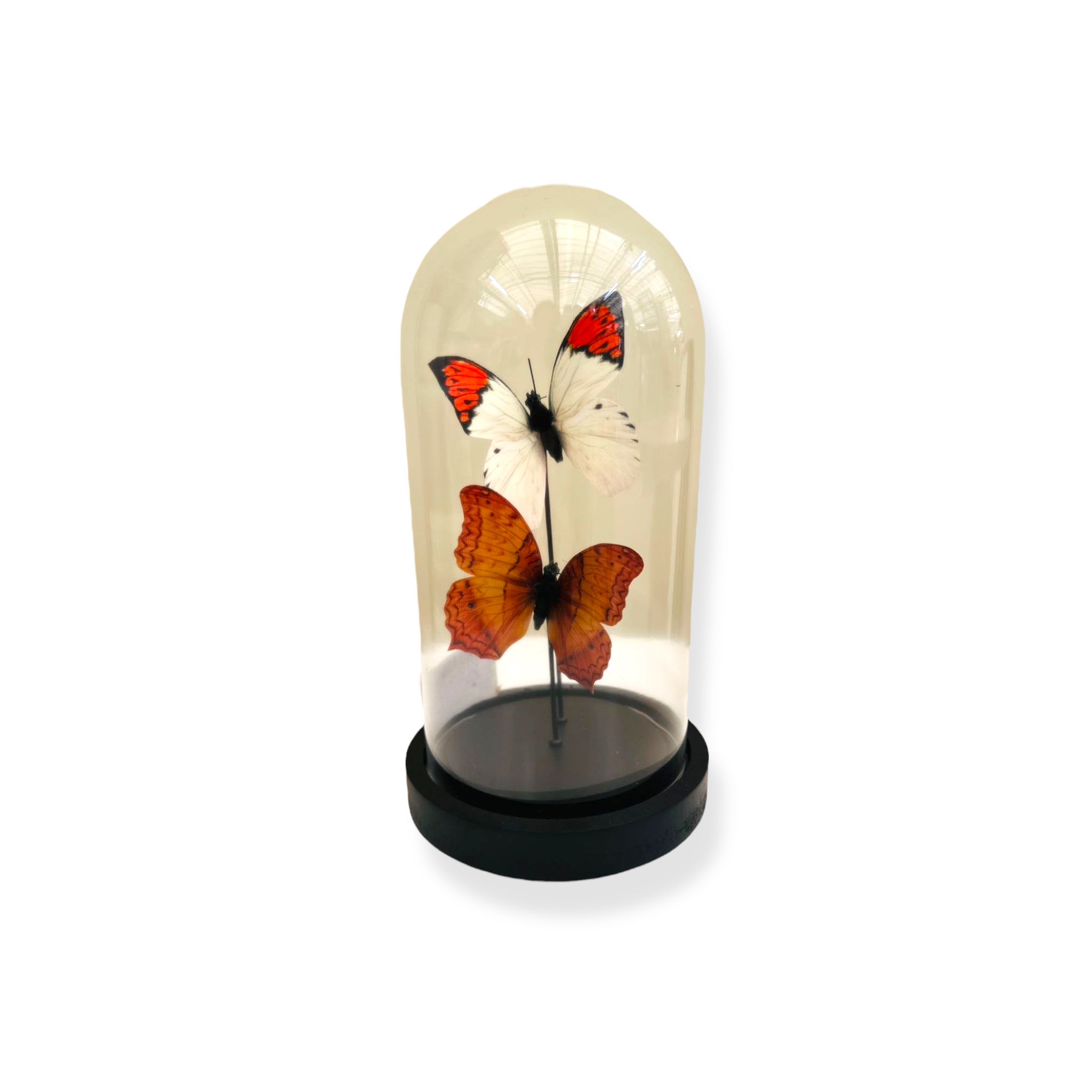 twee vlinder 11 * 21cm (YF-08)