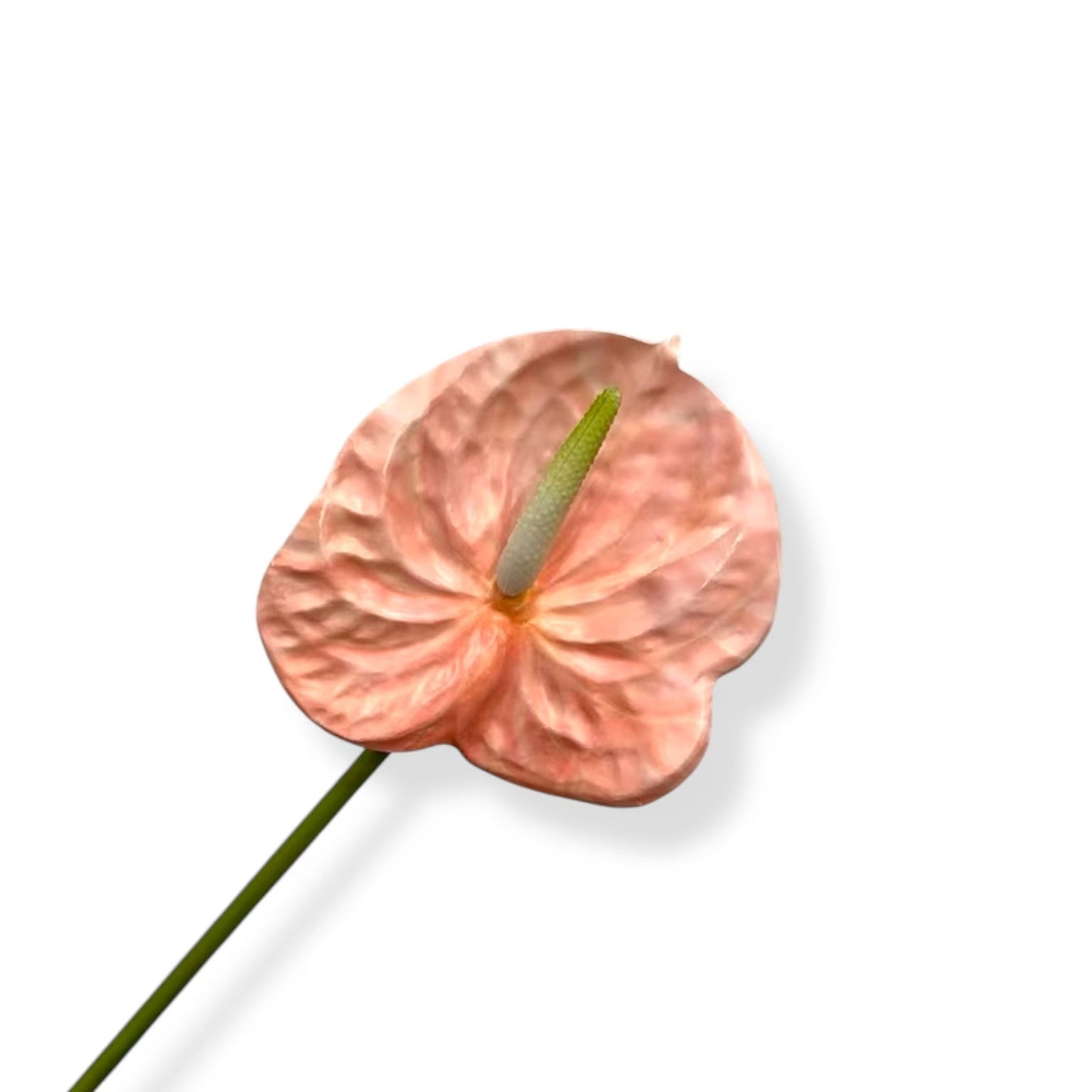 Anthurium Pink-02 | Zijden kunstbloem | Lengte 55cm 1pcs