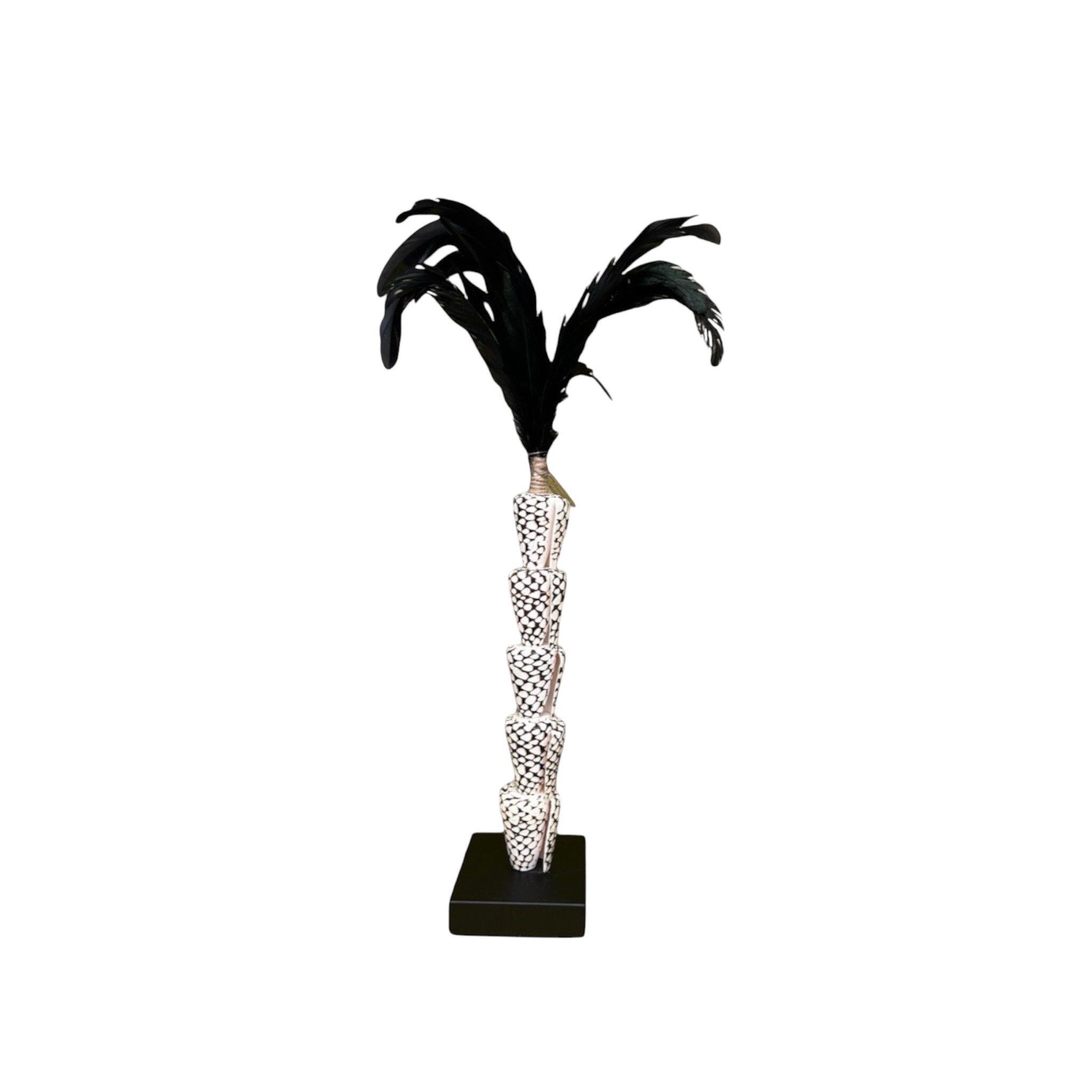Papua tiger shell with veren on stand(5 shell)