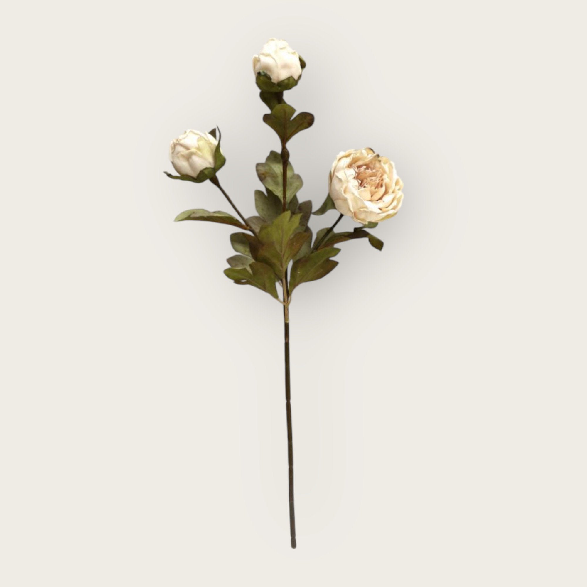 Herfstserie 3 Heads Peony Cream | Zijden kunstbloem | Lengte 53cm 1pcs