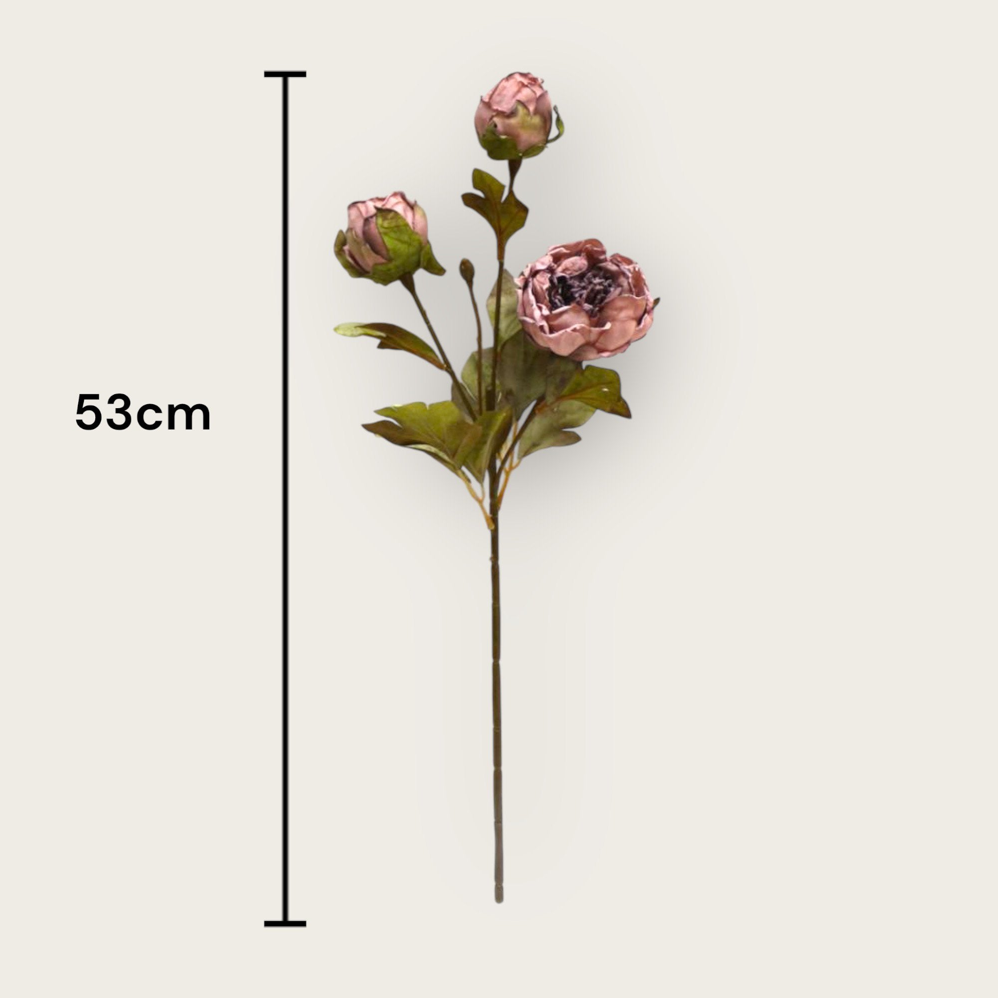 Herfstserie 3 Heads Peony Brown | Zijden kunstbloem | Lengte 53cm 1pcs