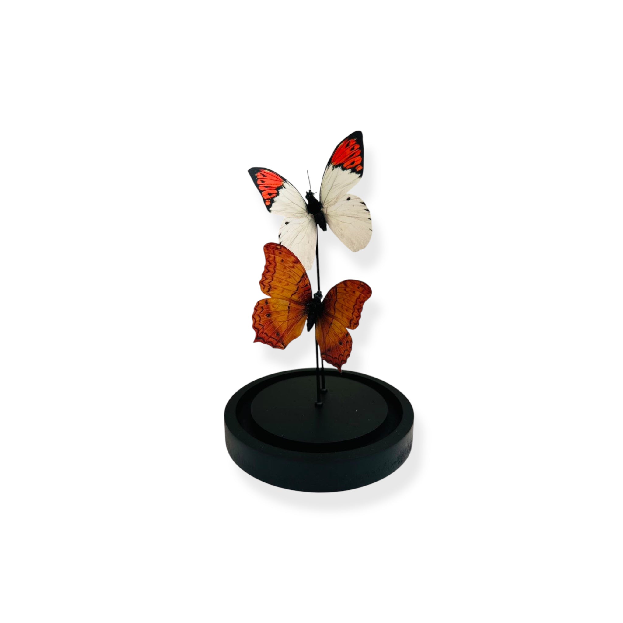 twee vlinder 11 * 21cm (YF-08)