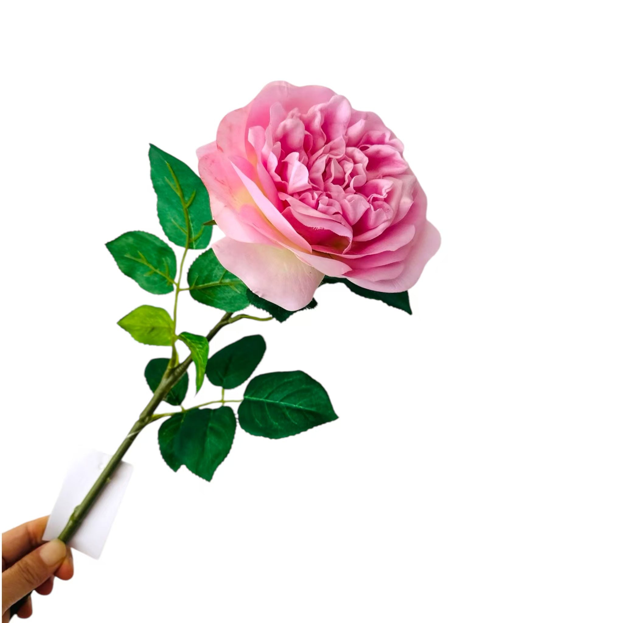 3D real toch Rose pink| Zijden kunstbloem | Lengte  65cm   1pcs