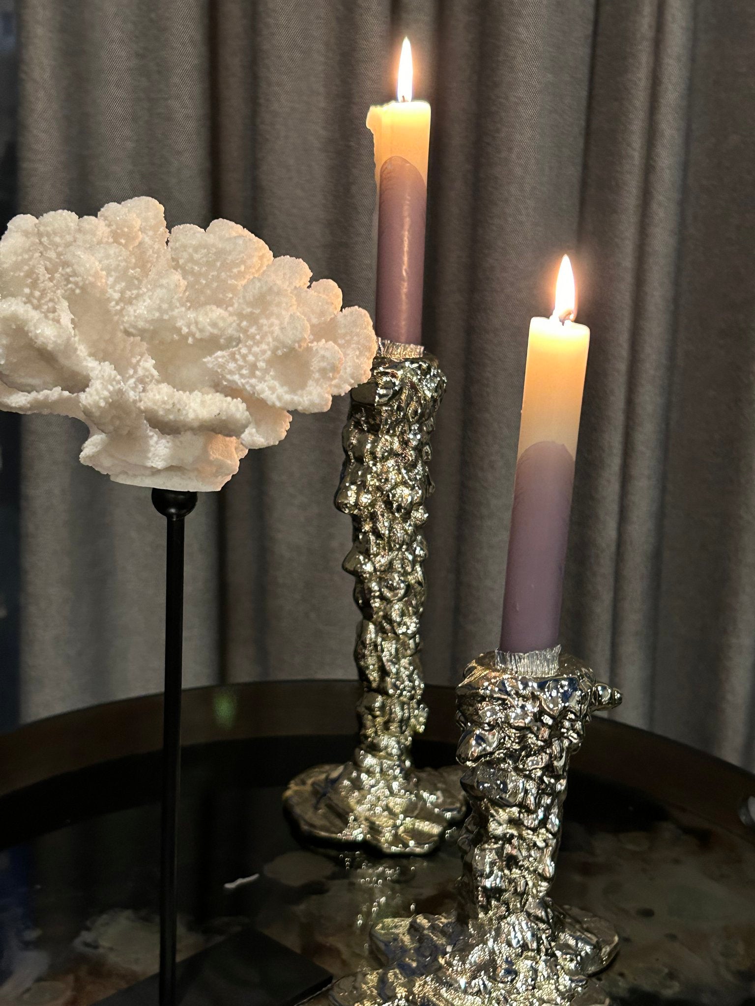 Coral collection with metal stand -s sizeH25cm W15cm D15cm