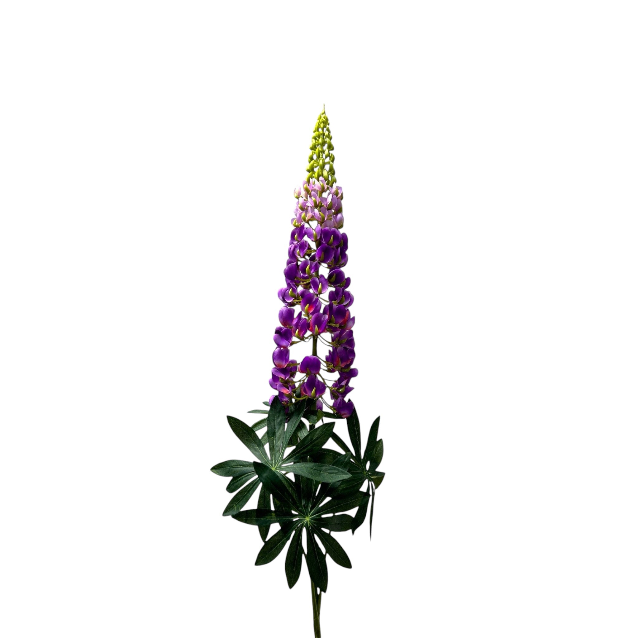 Lupinus micranthus Zijden kunstbloem | Lengte 105cm